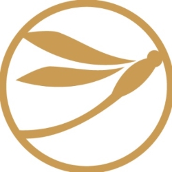 Amberwing Organics