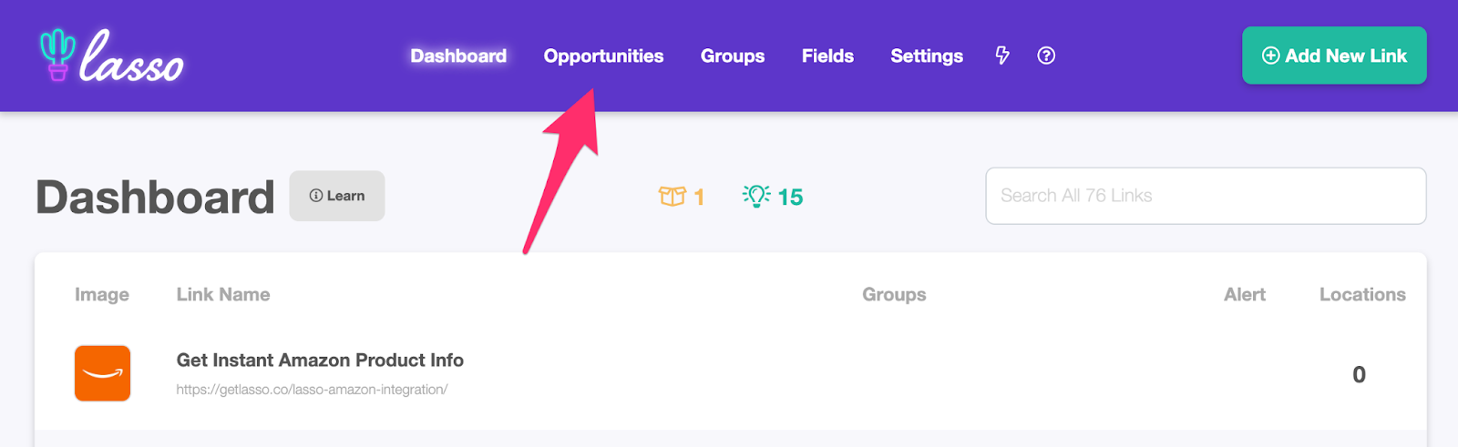 lasso dashboard and where to find the opportunities tab