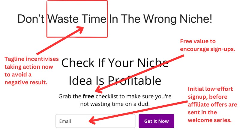 Email sign up form from Niche Site Lady to then promote affiliate links