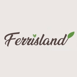 Ferrisland