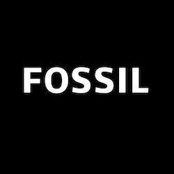 Fossil DE