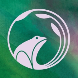 HoliFrog