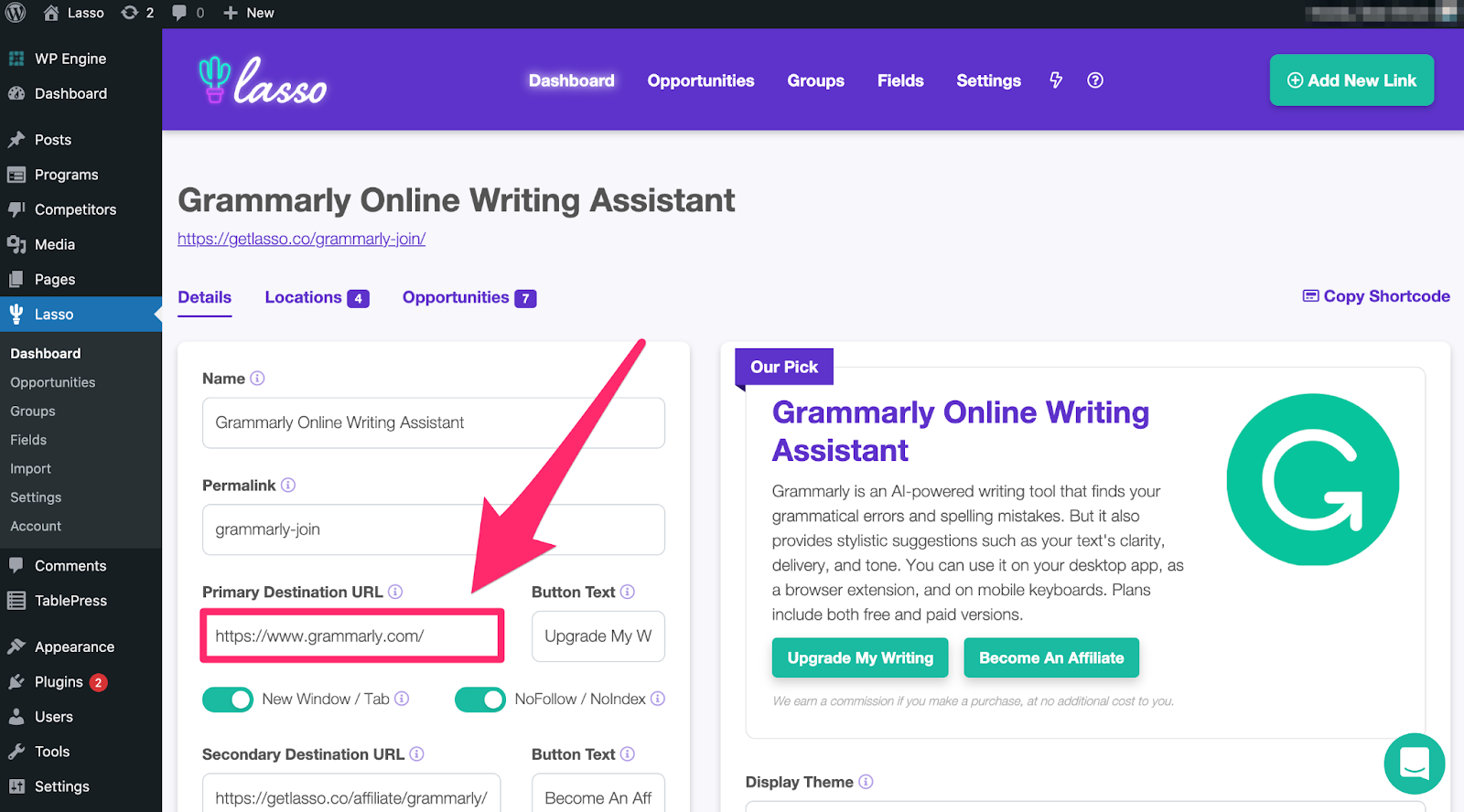 adding your primary destination URL in Lasso