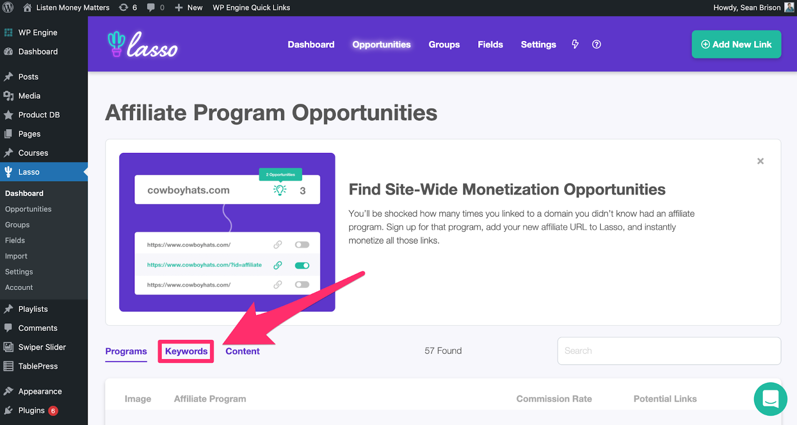 clicking the keywords tab inside the opportunities section