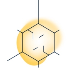 Longevity Labs, Inc.