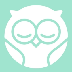 Owlet Dream Duo