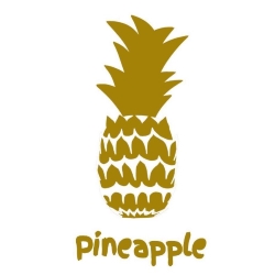 Pineapple Clothing