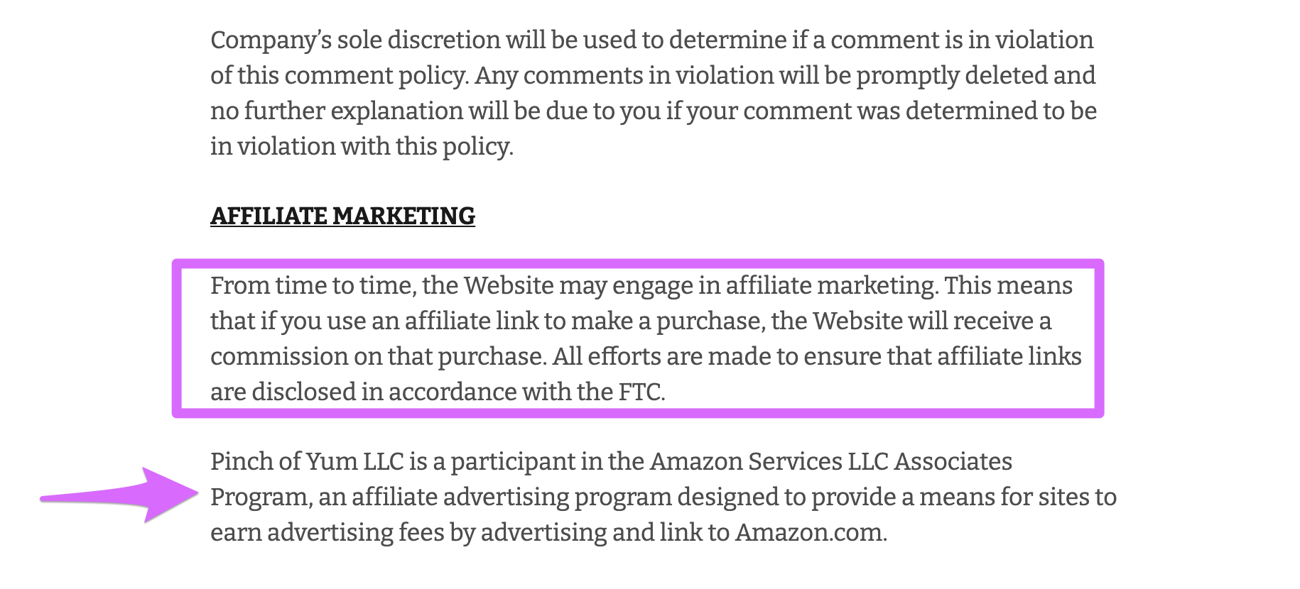 disclaimer from pinch of yum's site