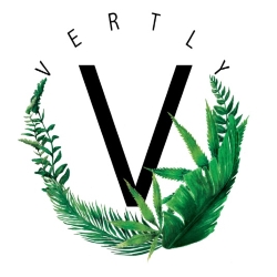 Vertly