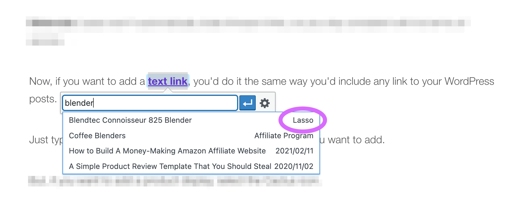 adding amazon affiliate text link to wordpress post