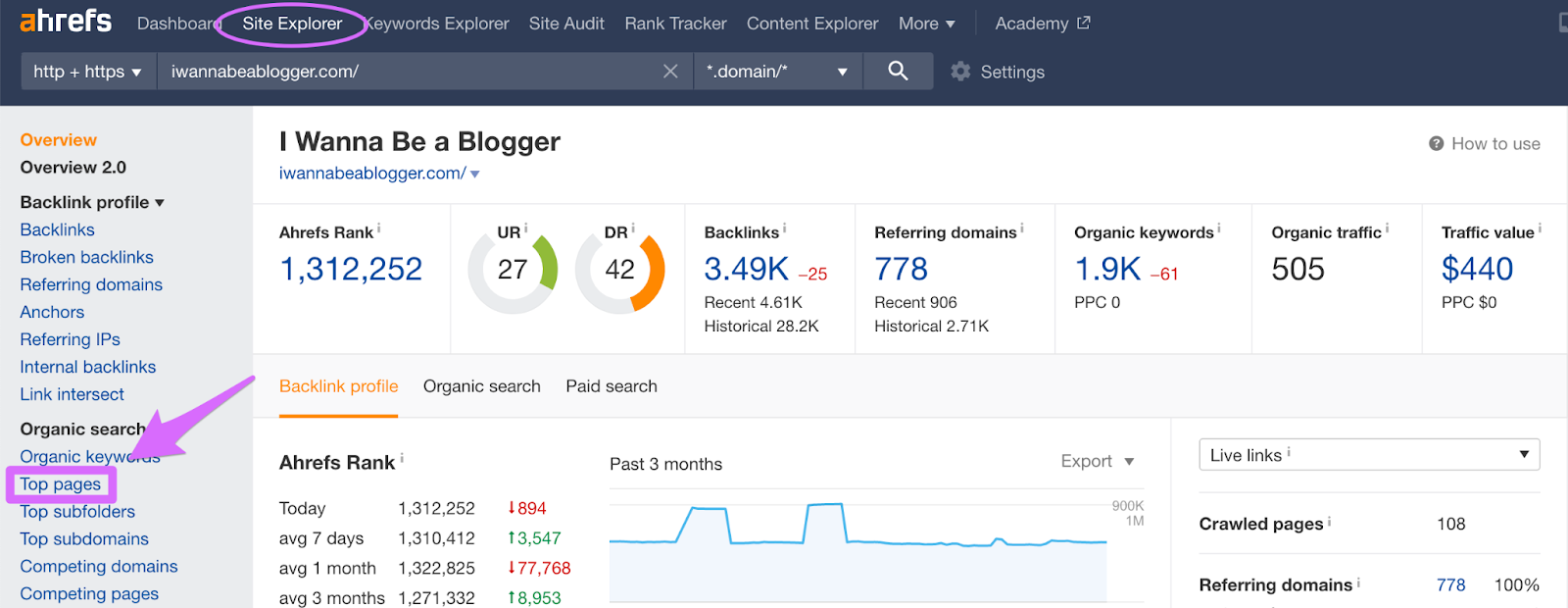 ahrefs site explorer top pages report