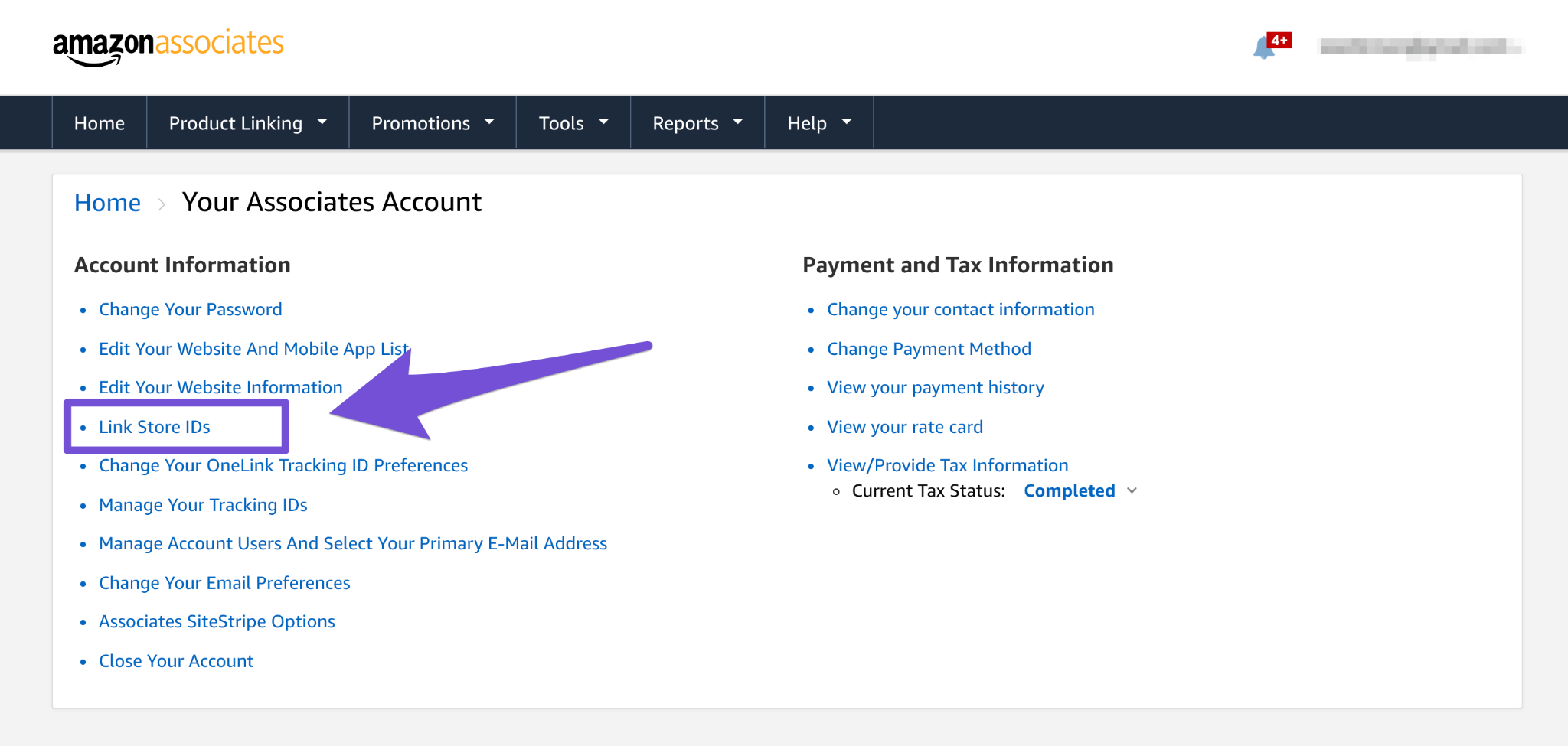 linking amazon store ids