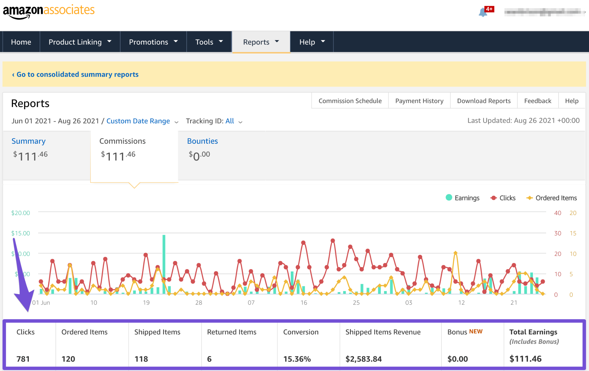 data at bottom of your earnings report showing conversions and income