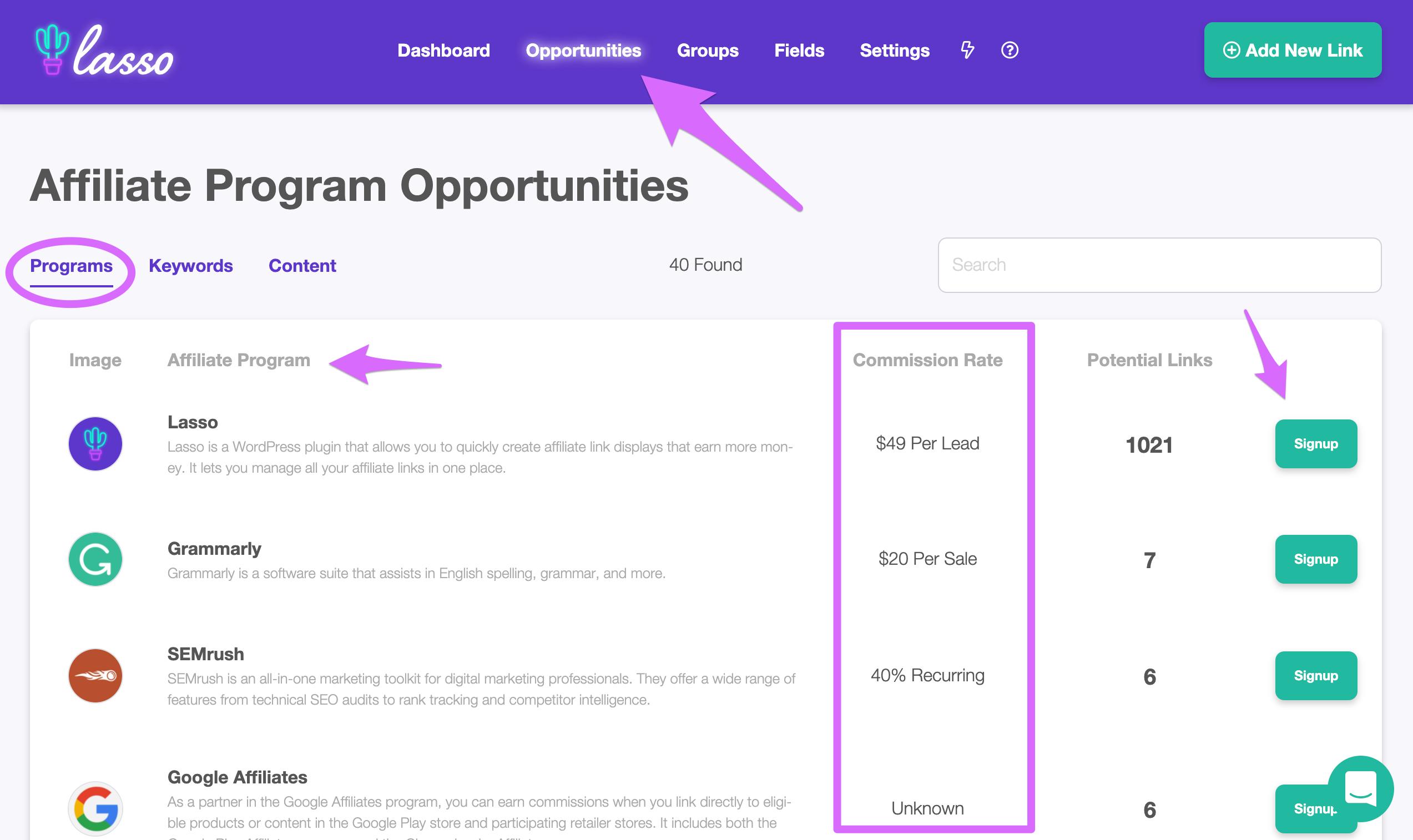 lasso affiliate opportunities dashboard