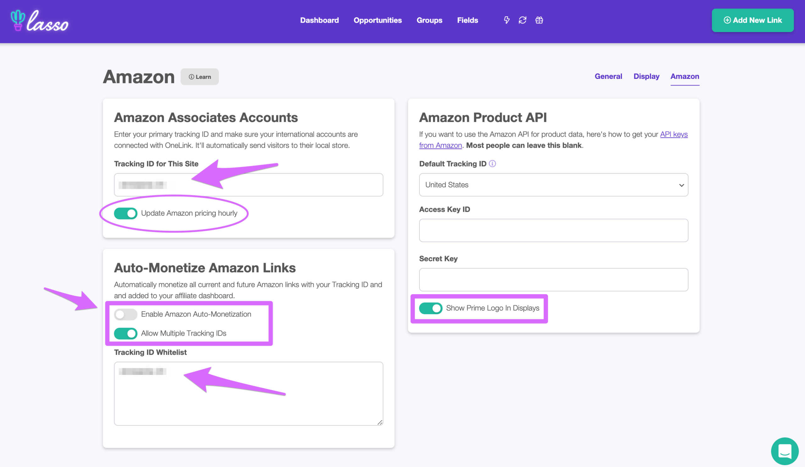 how to use auto amazon in lasso for your amazon affiliate website