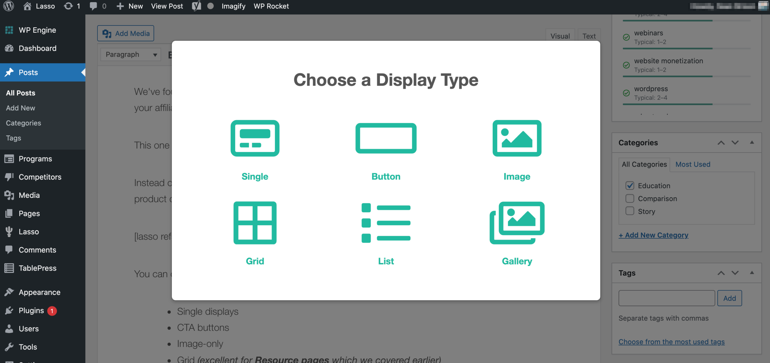 choosing lasso display type in lasso in wordpress