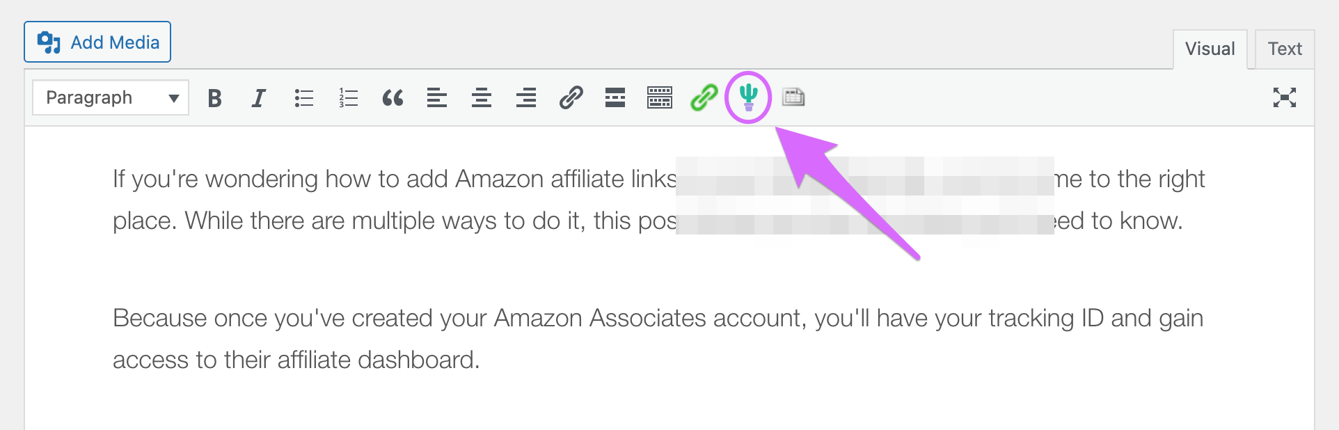 click the cactus icon to choose your affiliate link display type