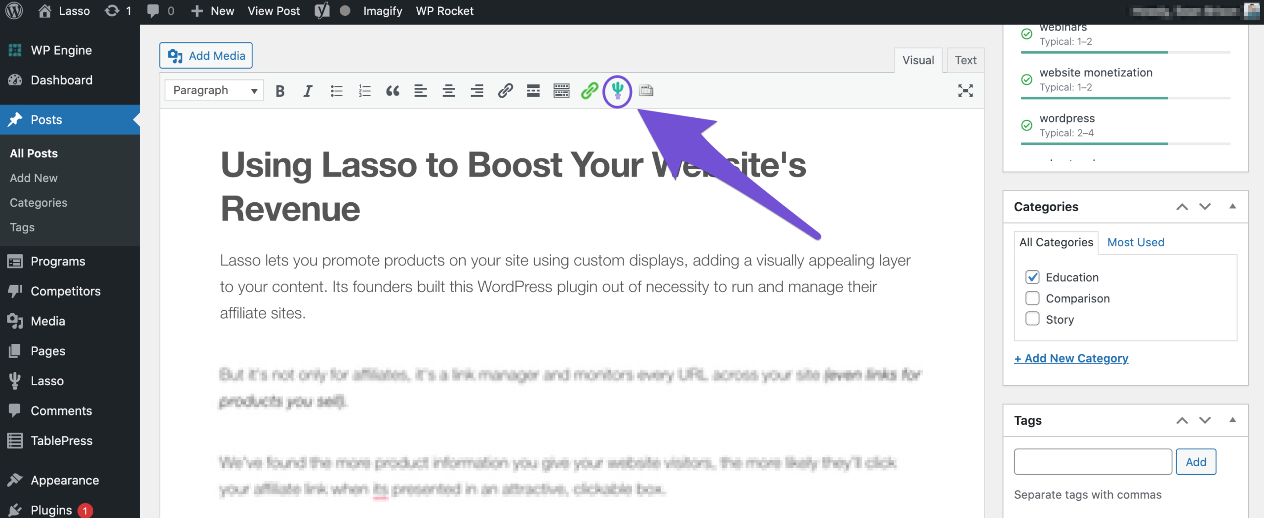 clicking cactus icon in wordpress to start lasso