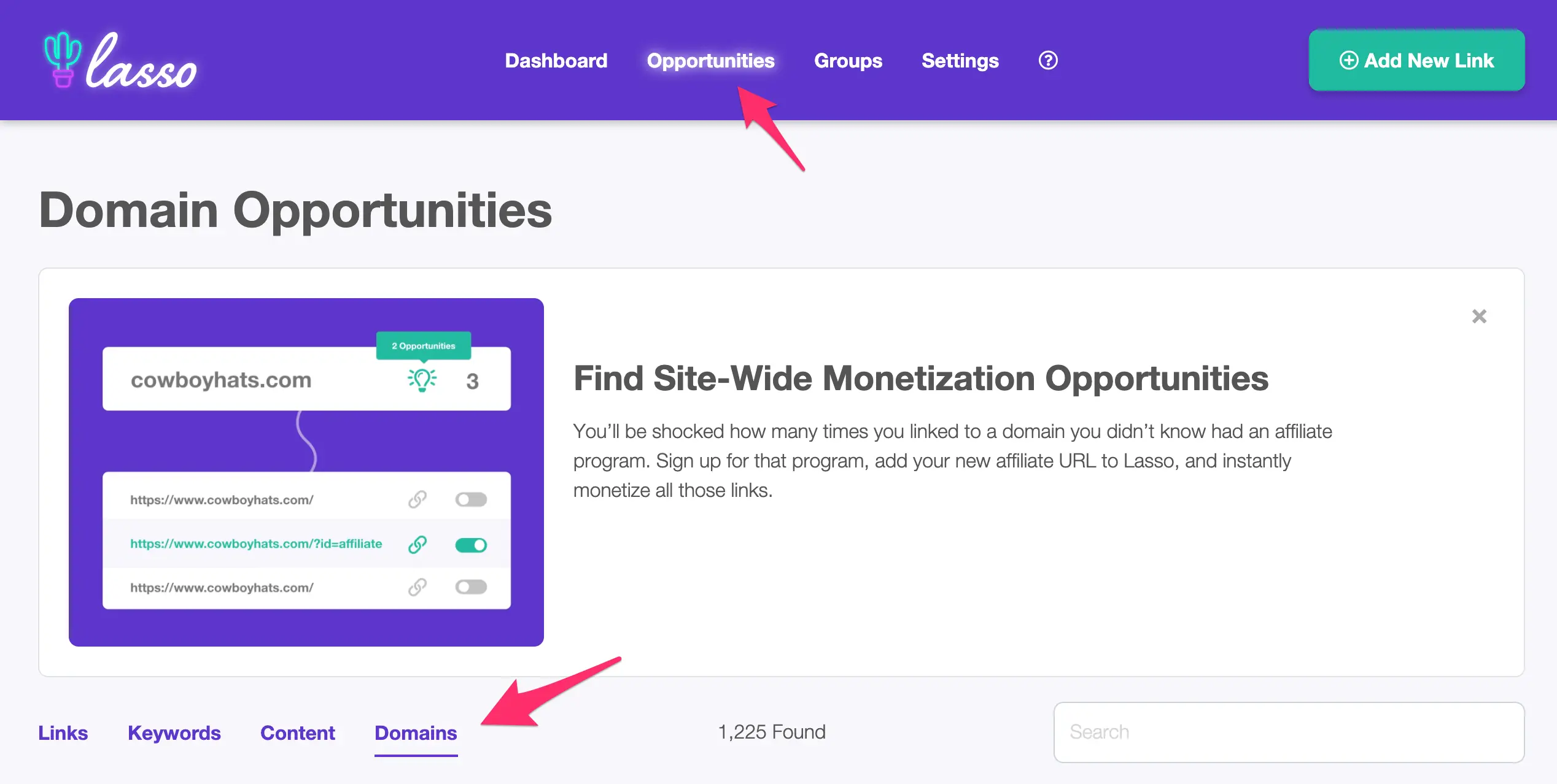 finding unmonetized links using the domains report in lasso