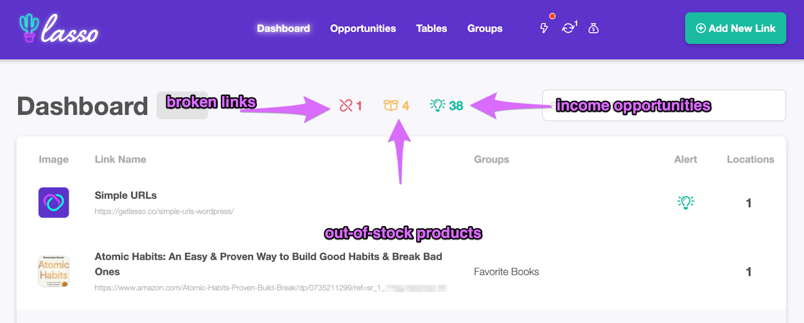 Lasso affiliate dashboard