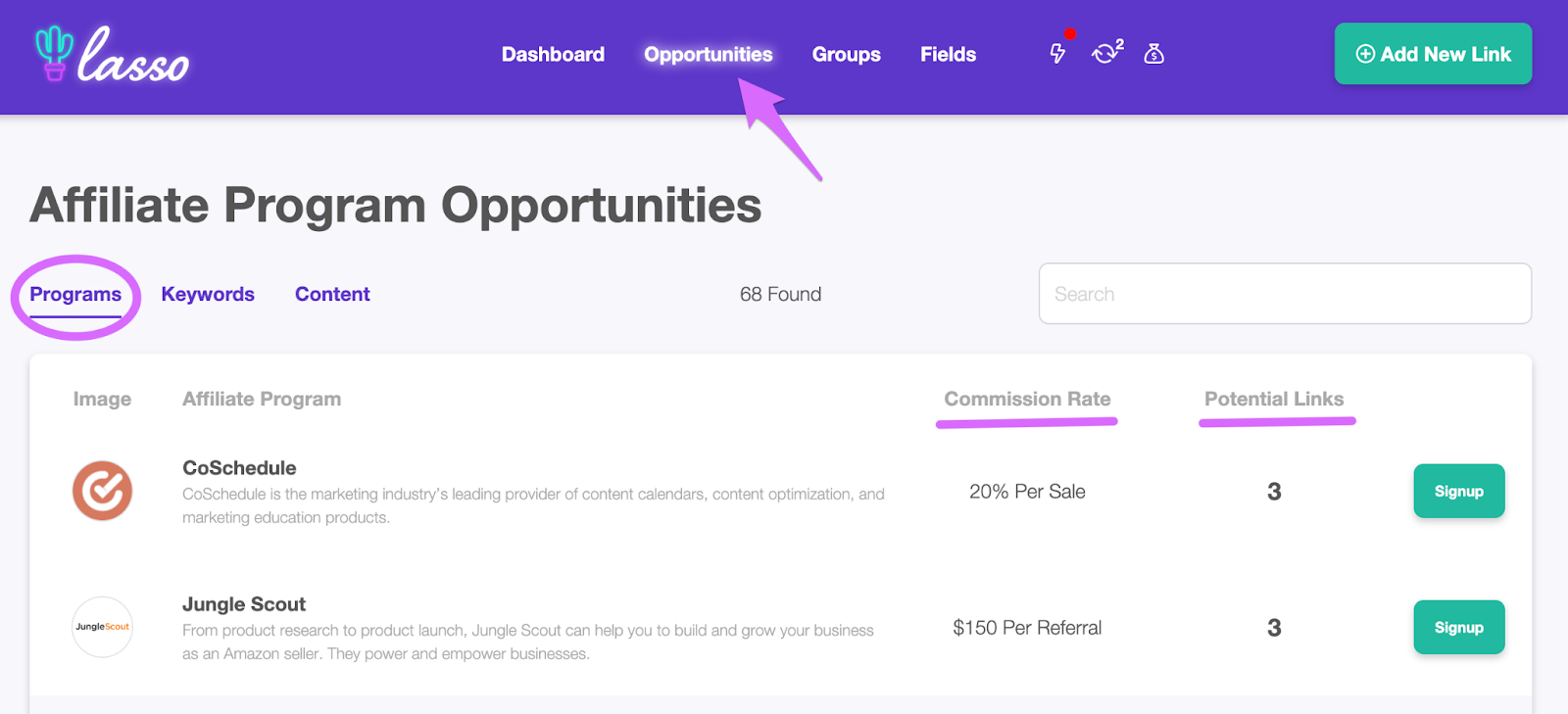 lasso opportunities affiliate program report