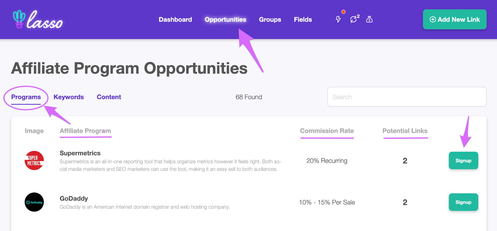 lasso dashboard affilliate program opportunities report with potential programs to join