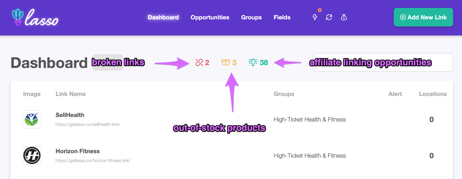 lasso dashboard revealing broken links as an affiliate marketing tip to fix broken links