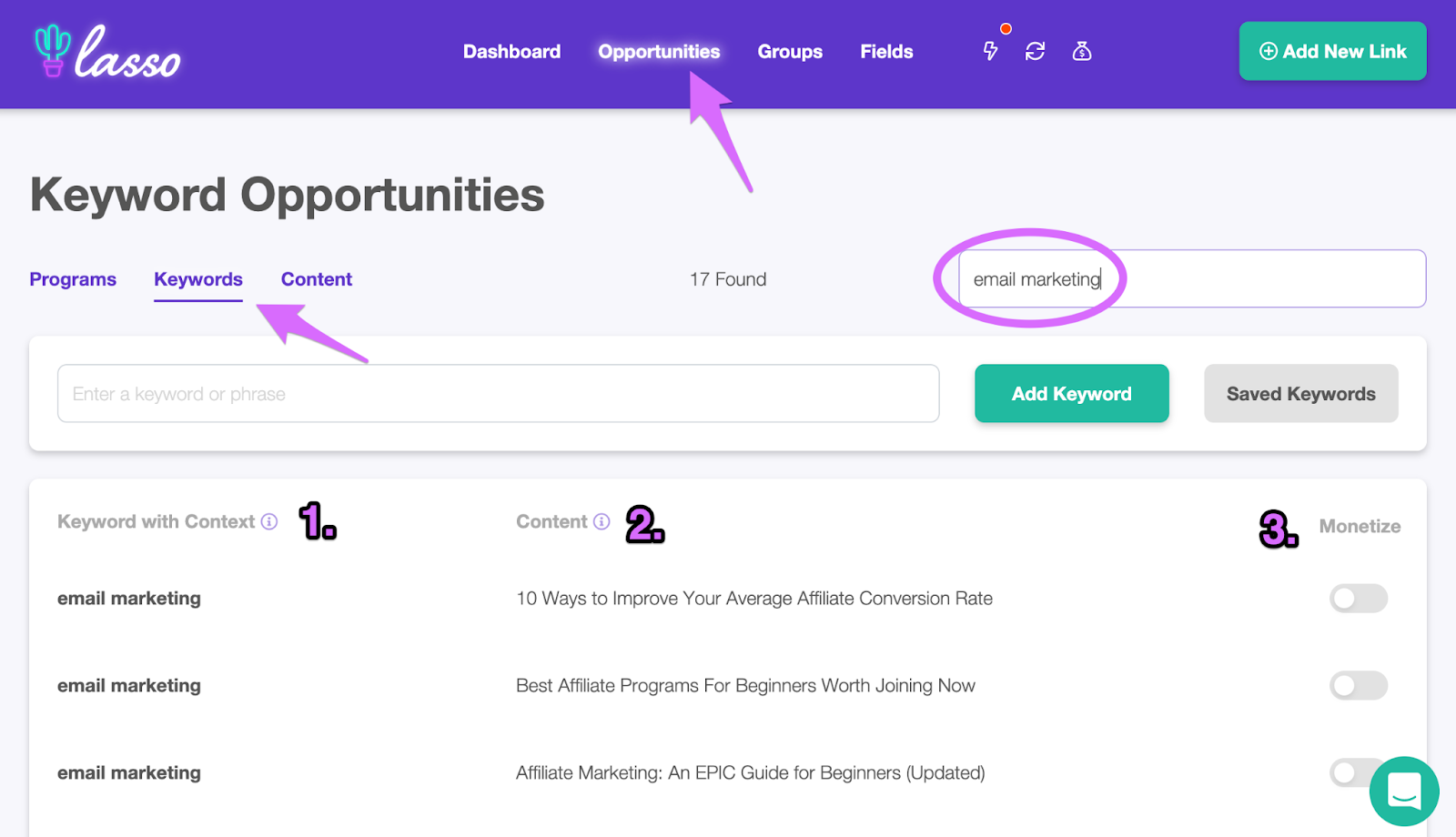 lasso keyword opportunities report