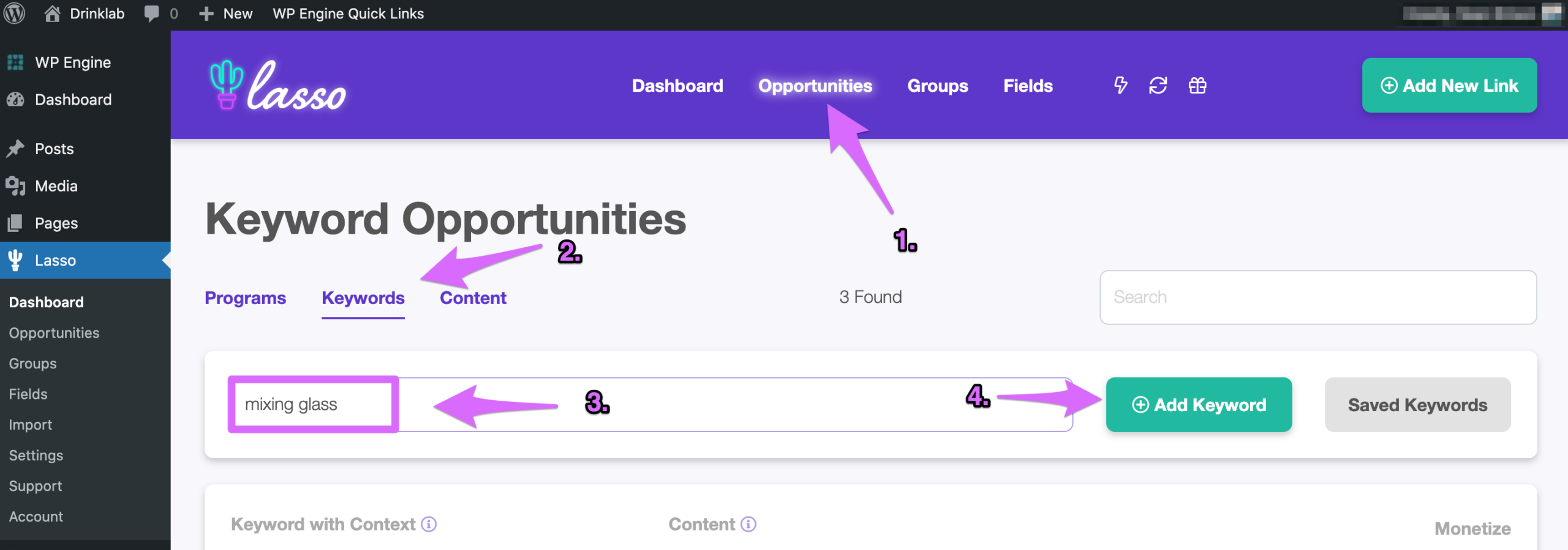 lasso keywording tool adding a keyword