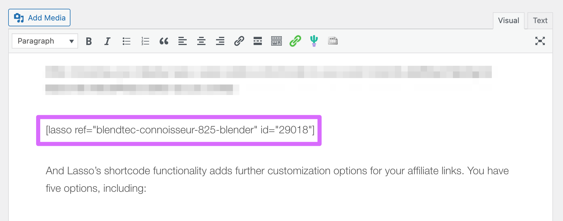 lasso shortcode added to wordpress post