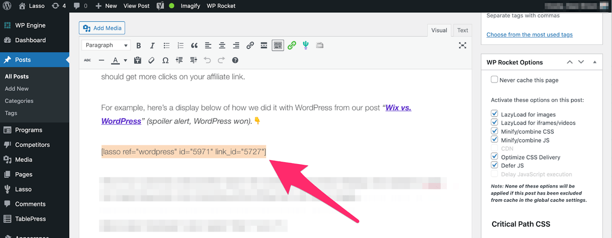 lasso adding shortcode to your post in WordPress in your how to guide template