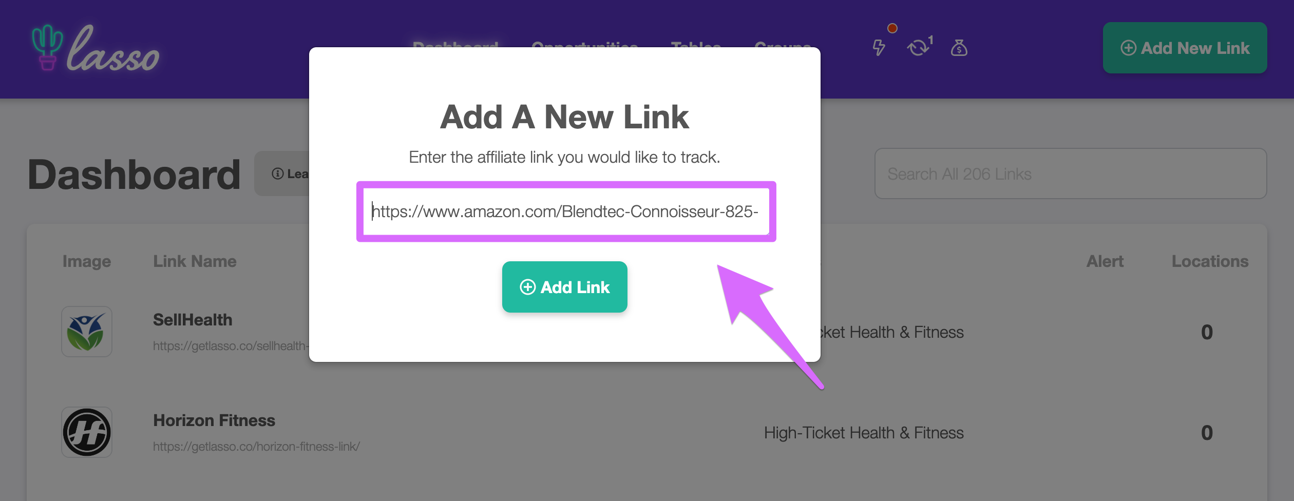 pasting amazon affiliate link into lasso