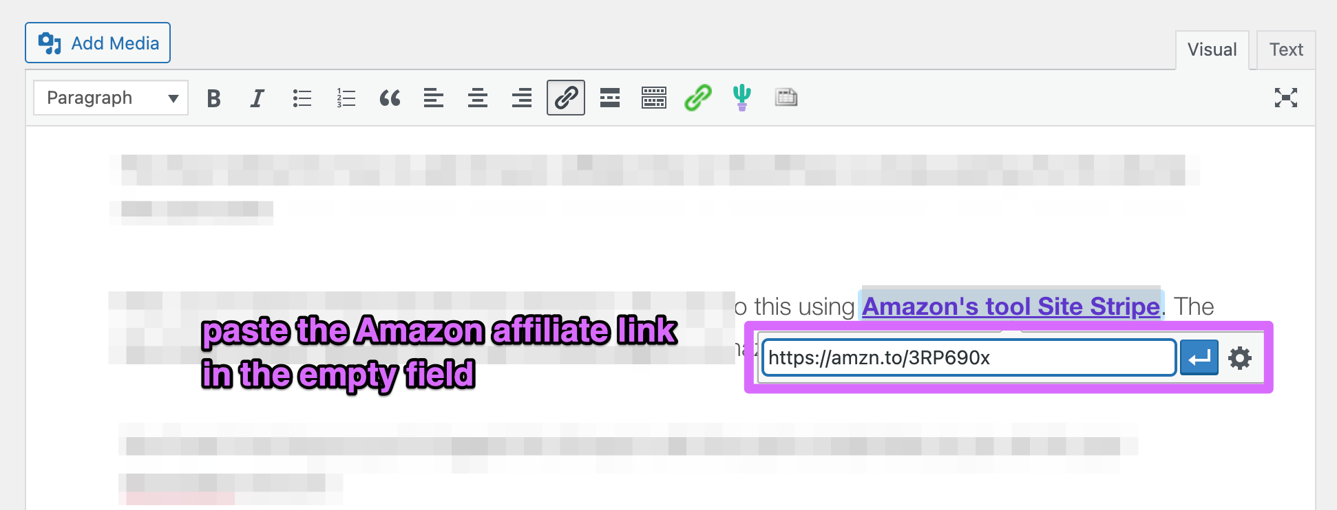 pasting text link amazon into wordpress