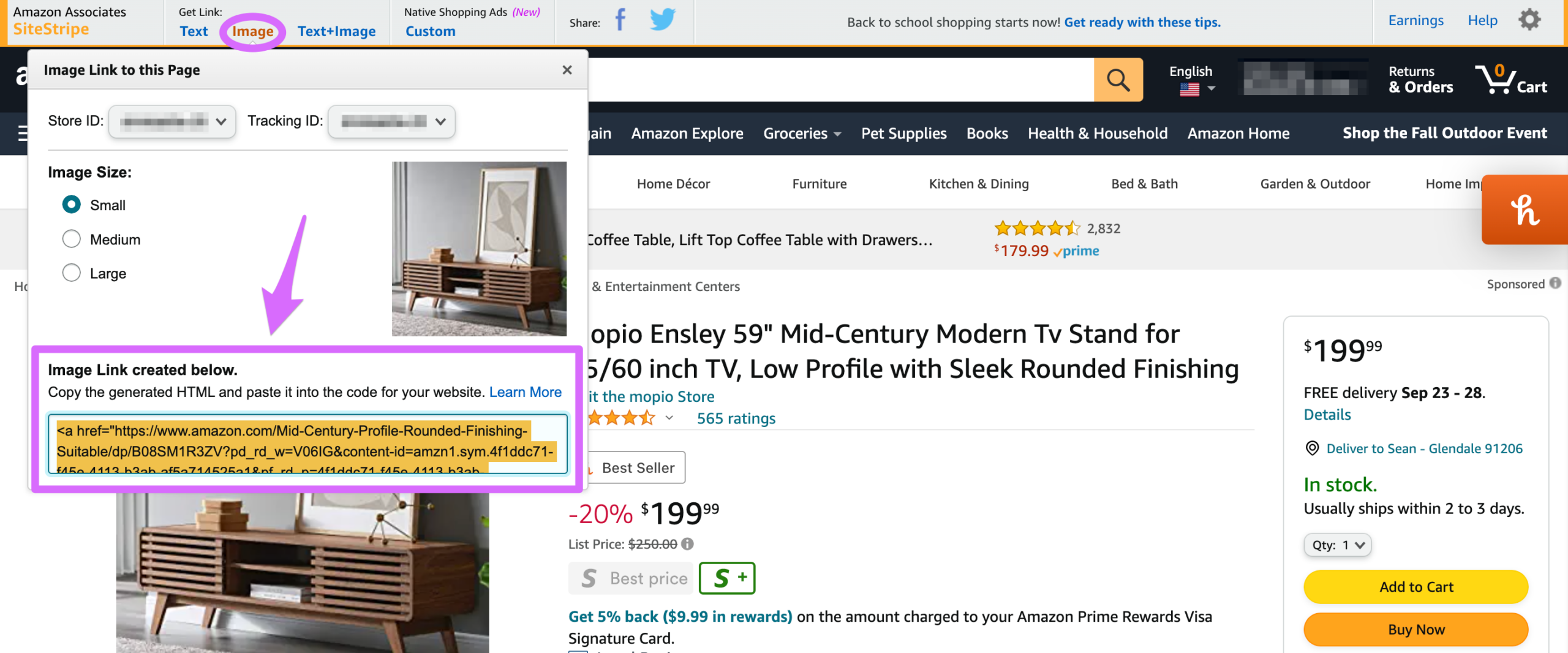 site stripe pasting html image links