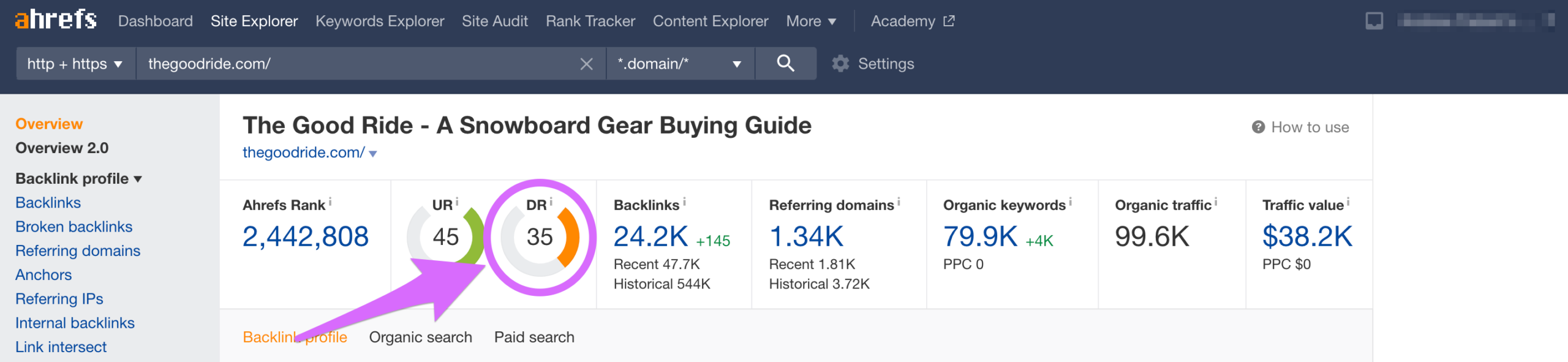 thegoodride snowboard review site domain rating in ahrefs