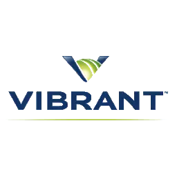 Vibrant Media