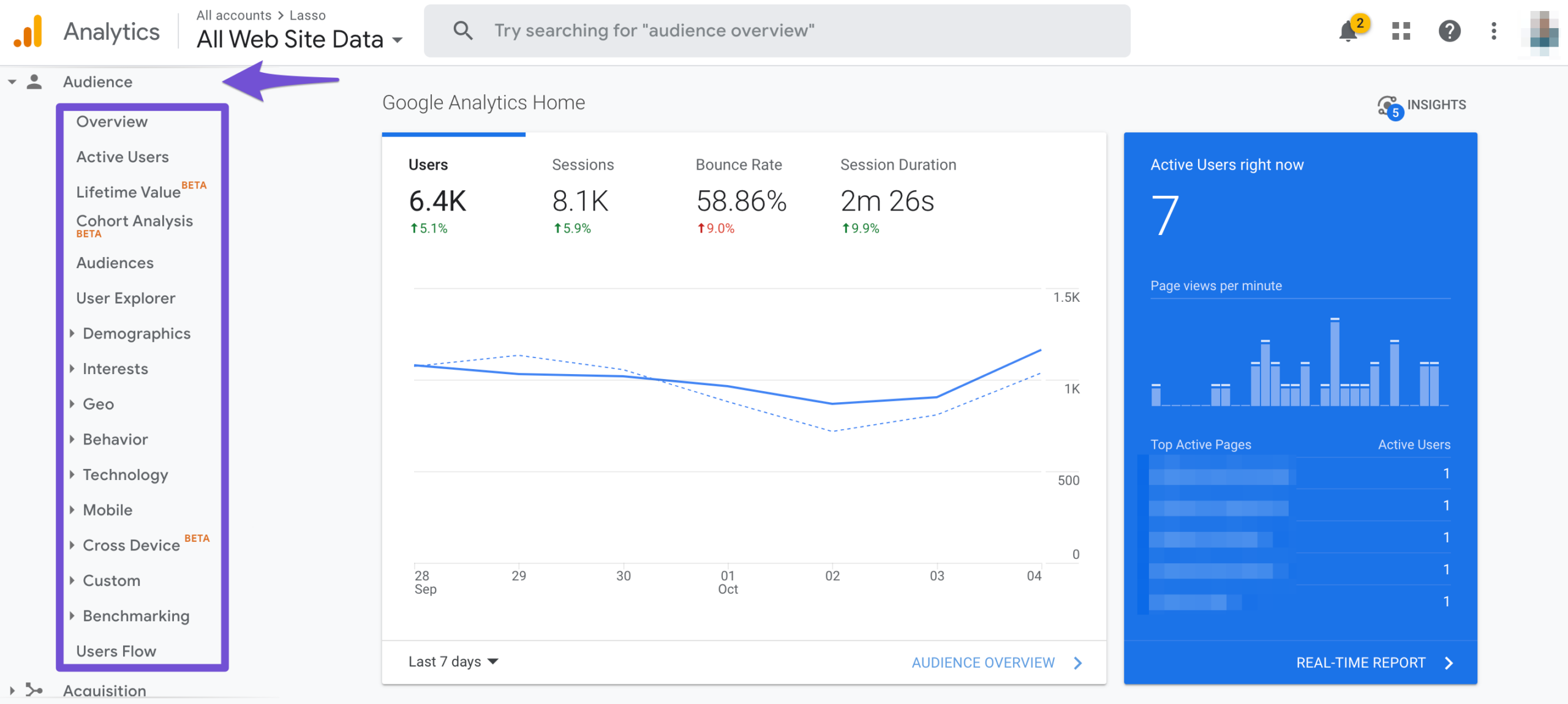 google analytics audience