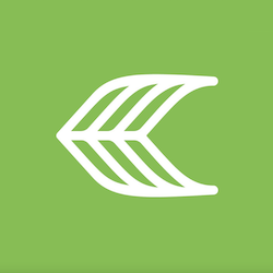 Cariuma
