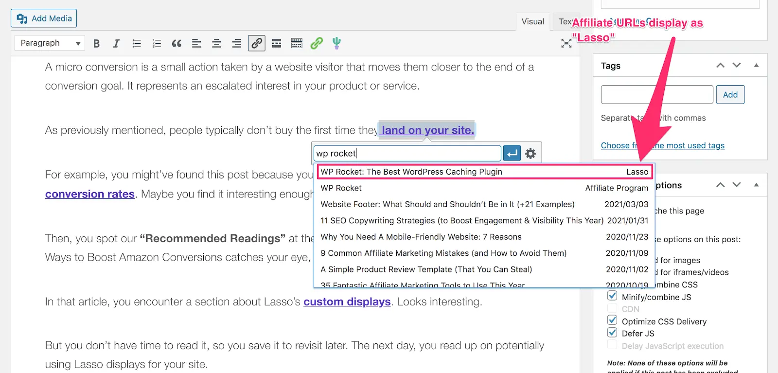 how affiliate urls display as lasso when adding internal link in wordpress
