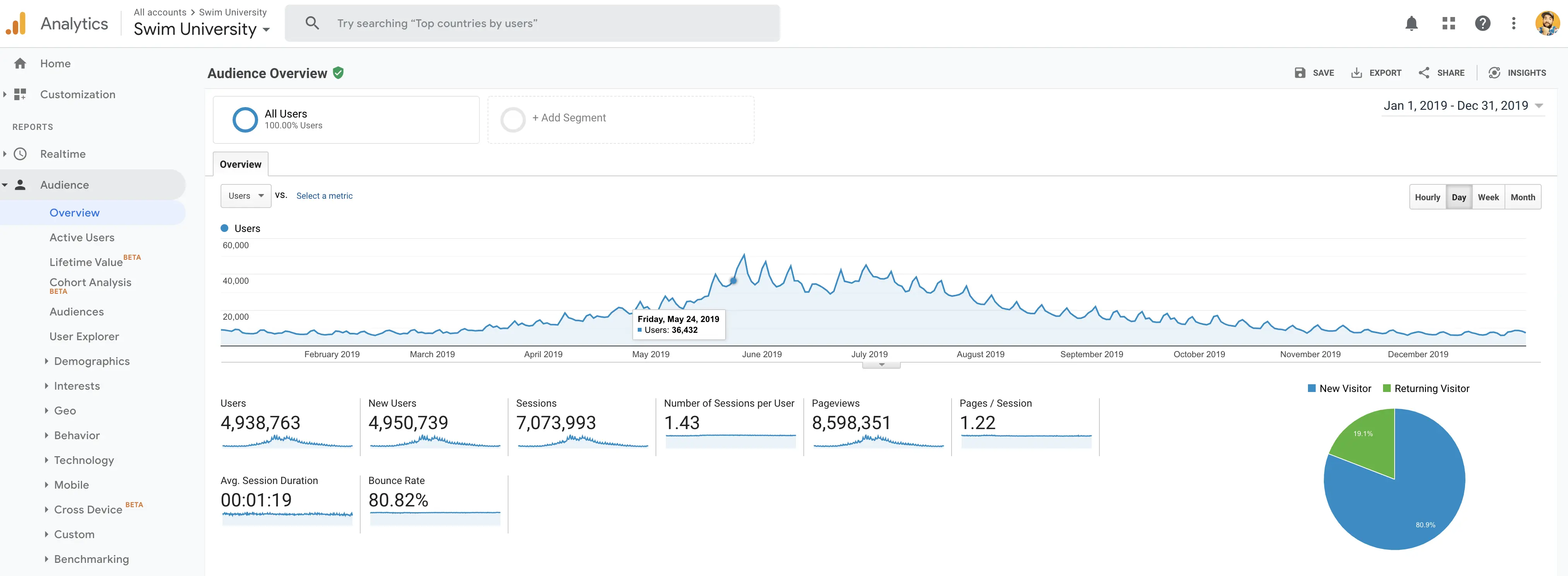 Google Analytics Swim U 2019 monthly traffic