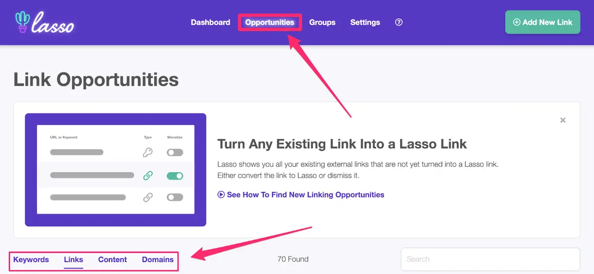 how to use the opportunities report in lasso