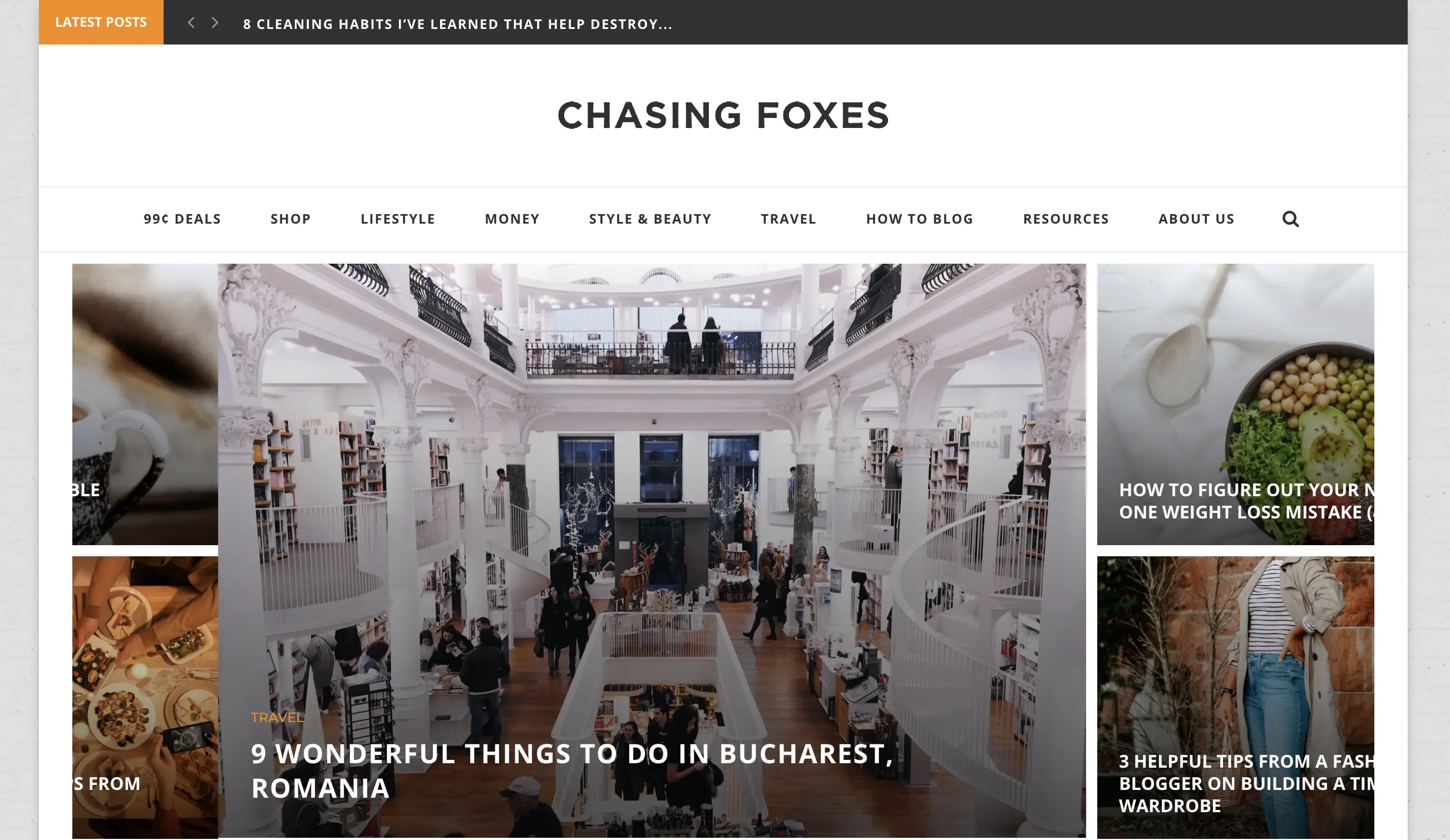 types of blogs that make money in the lifestyle niche is chasing foxes