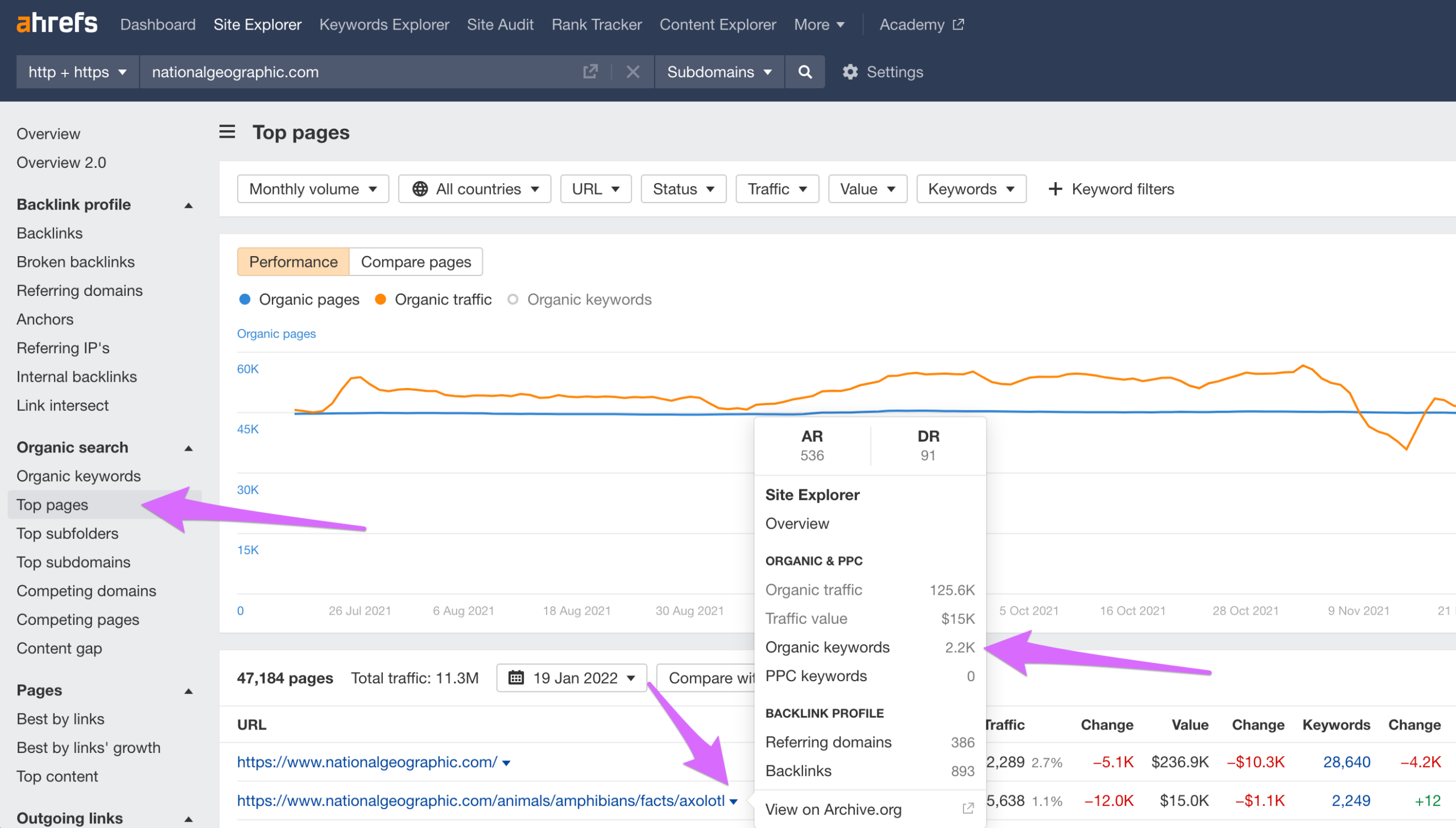 blogging problems using ahrefs top pages