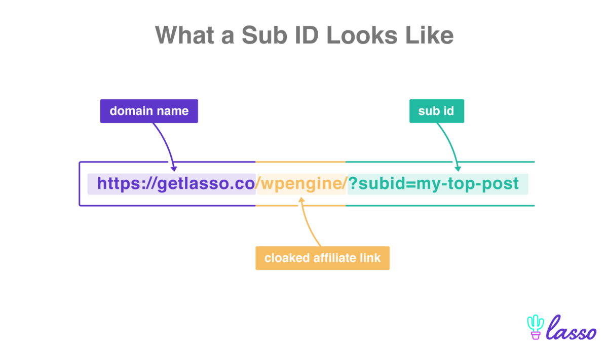 url labeled with domain, cloaked affiliate link,and subid