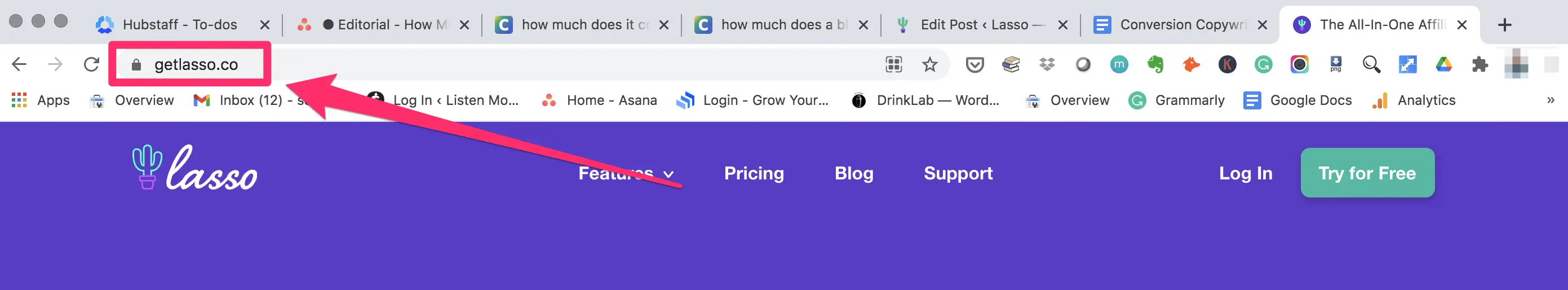 lasso domain name