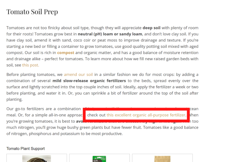 Example of helpful affiliate link placement