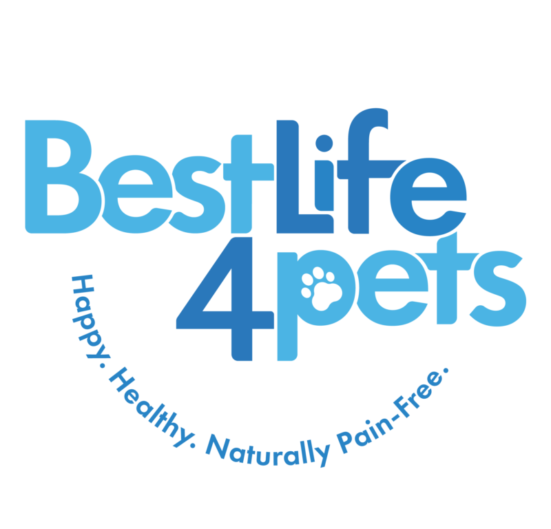 BestLife4Pets