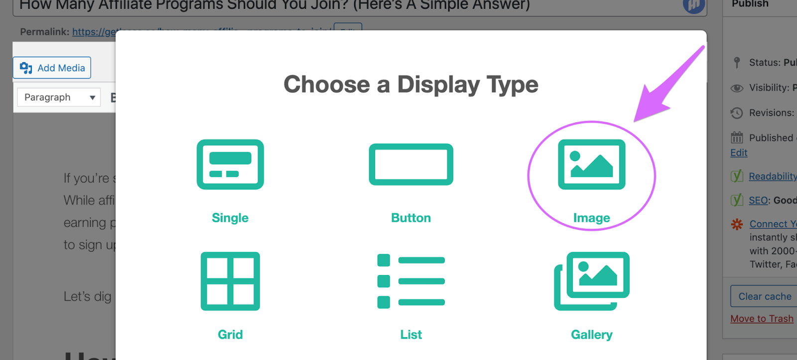 choosing an image display on lasso as images can increase your affiliate marketing conversion rate