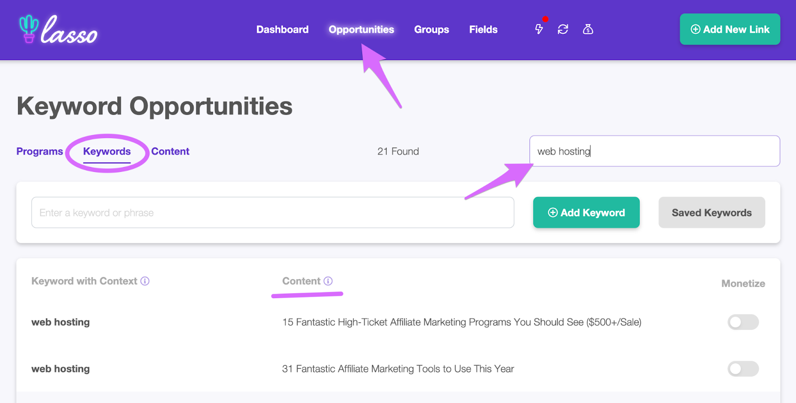 finding keywords across your site you want to monetize from the lasso dashboard