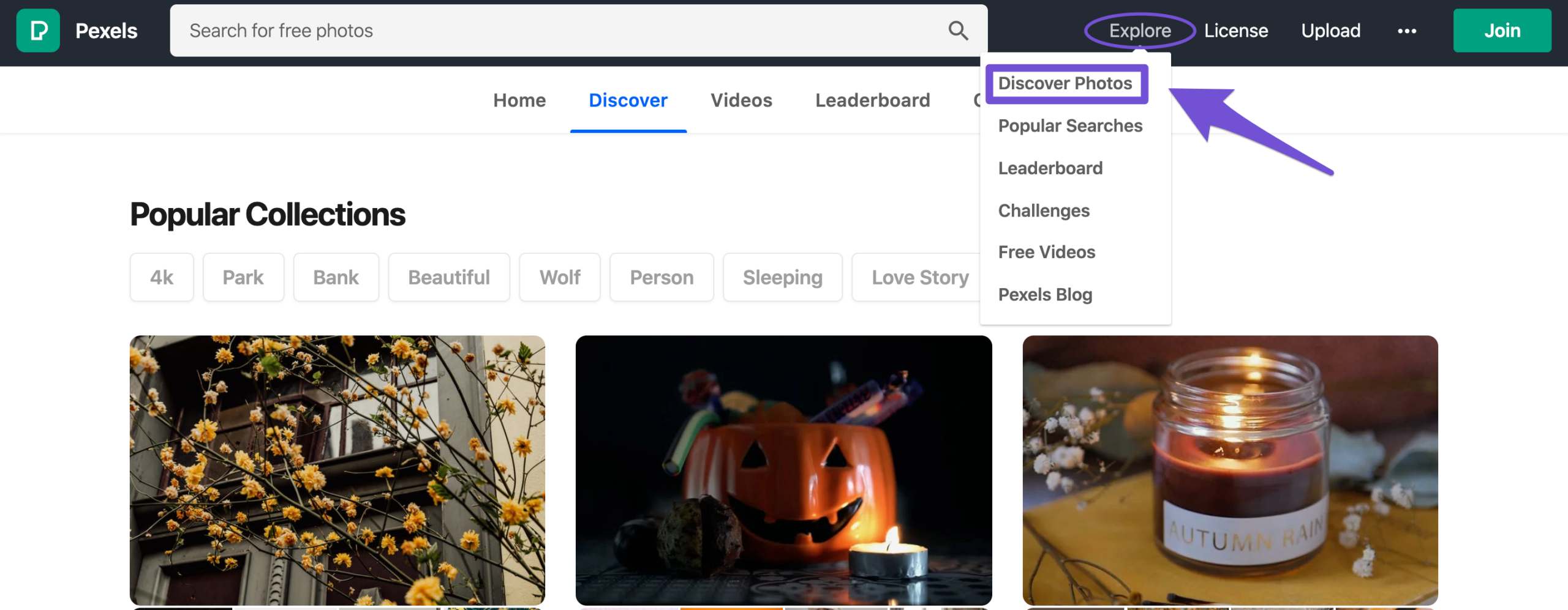 pexels discover photos option